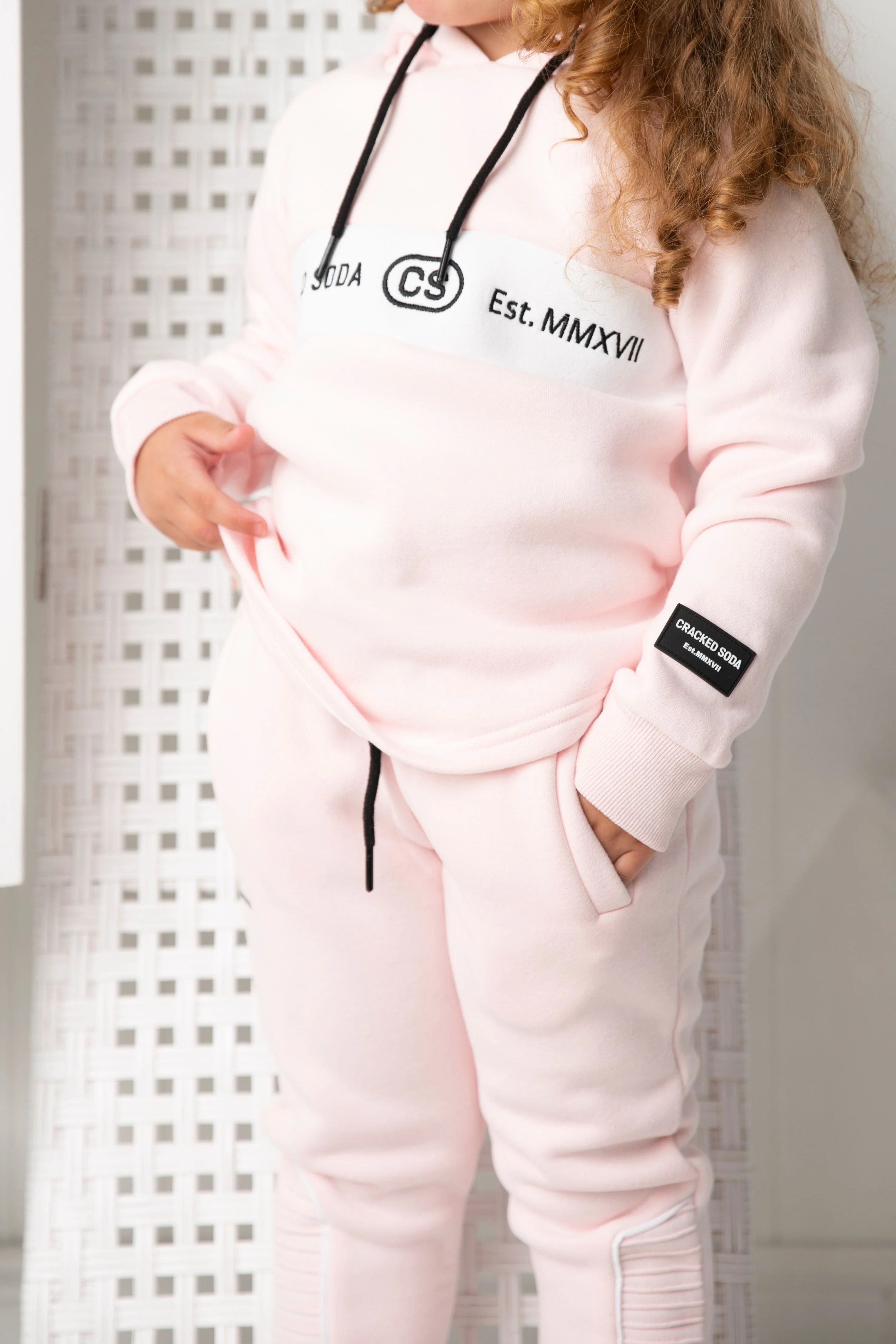 Alaska Detailed Hoodie - Image 10
