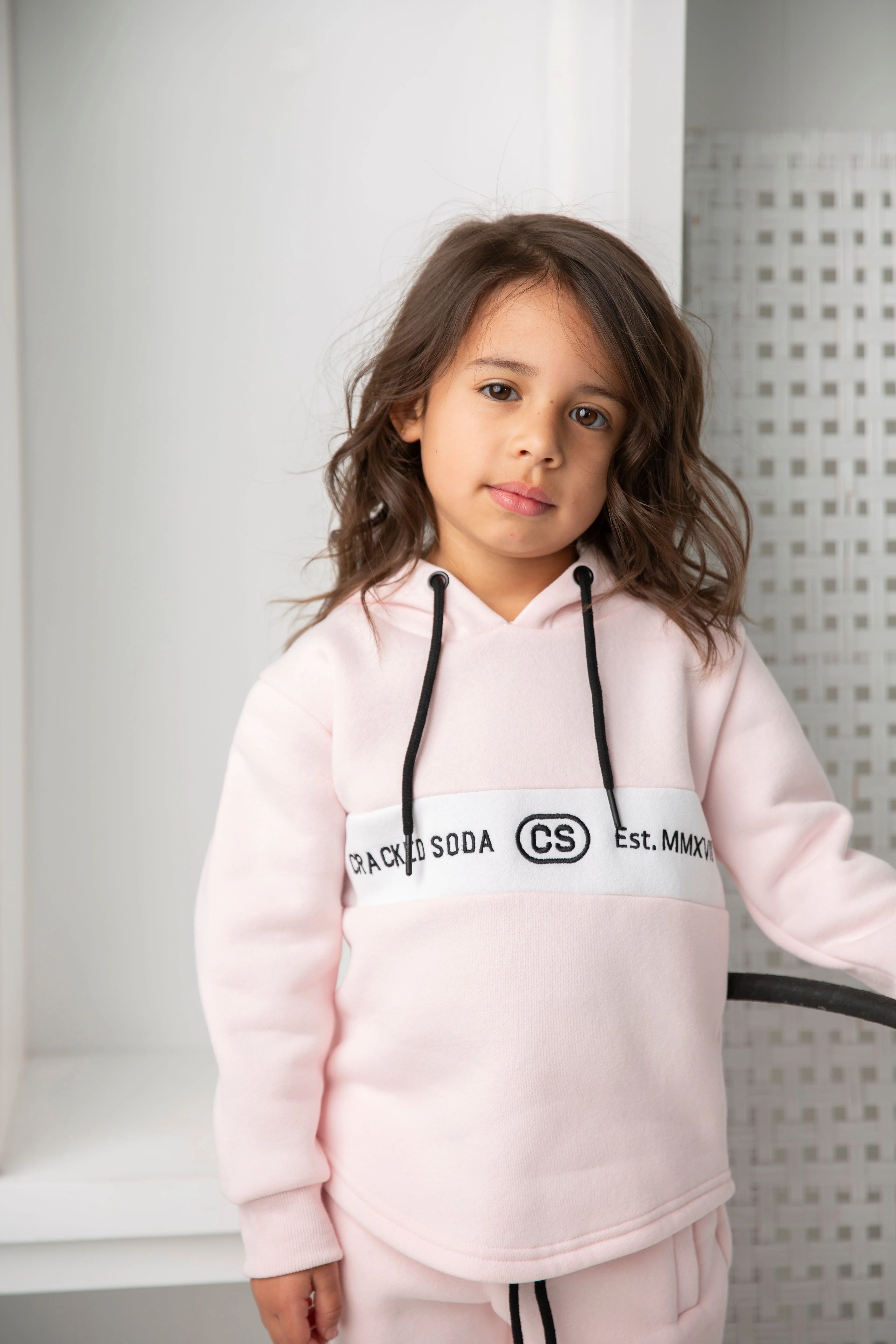 Alaska Detailed Hoodie - Image 4