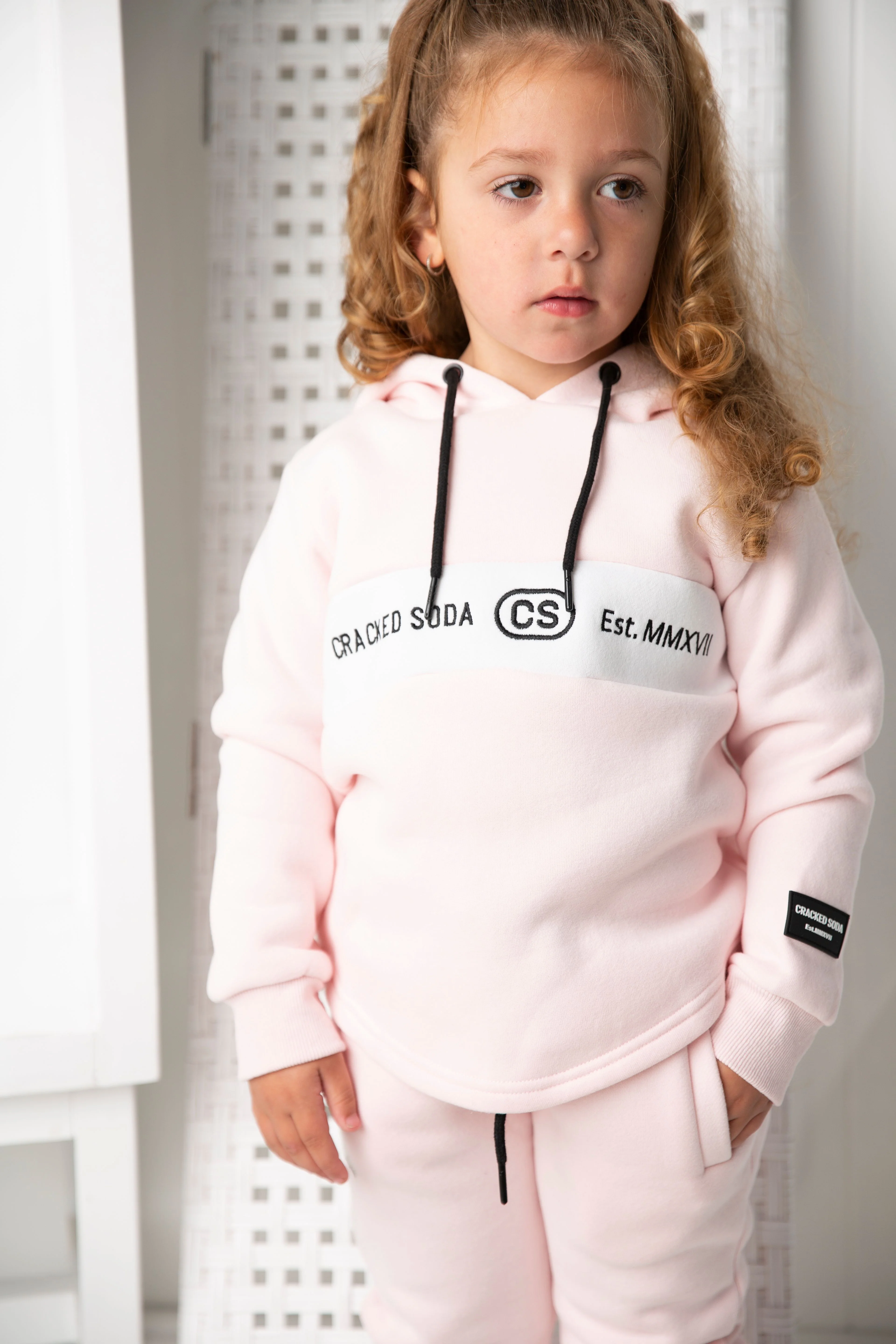 Alaska Detailed Hoodie - Image 9