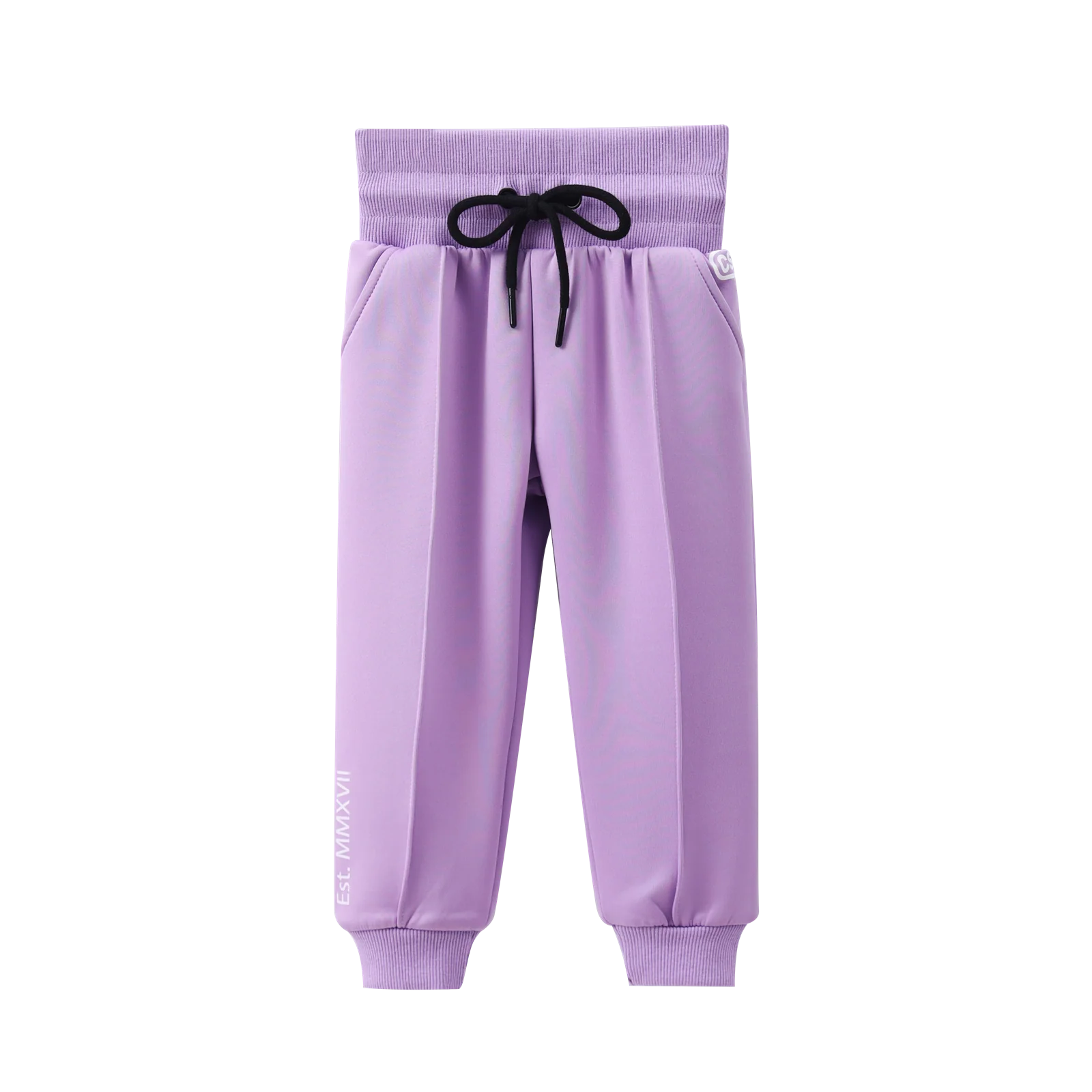 Imogen Active Pants - Purple